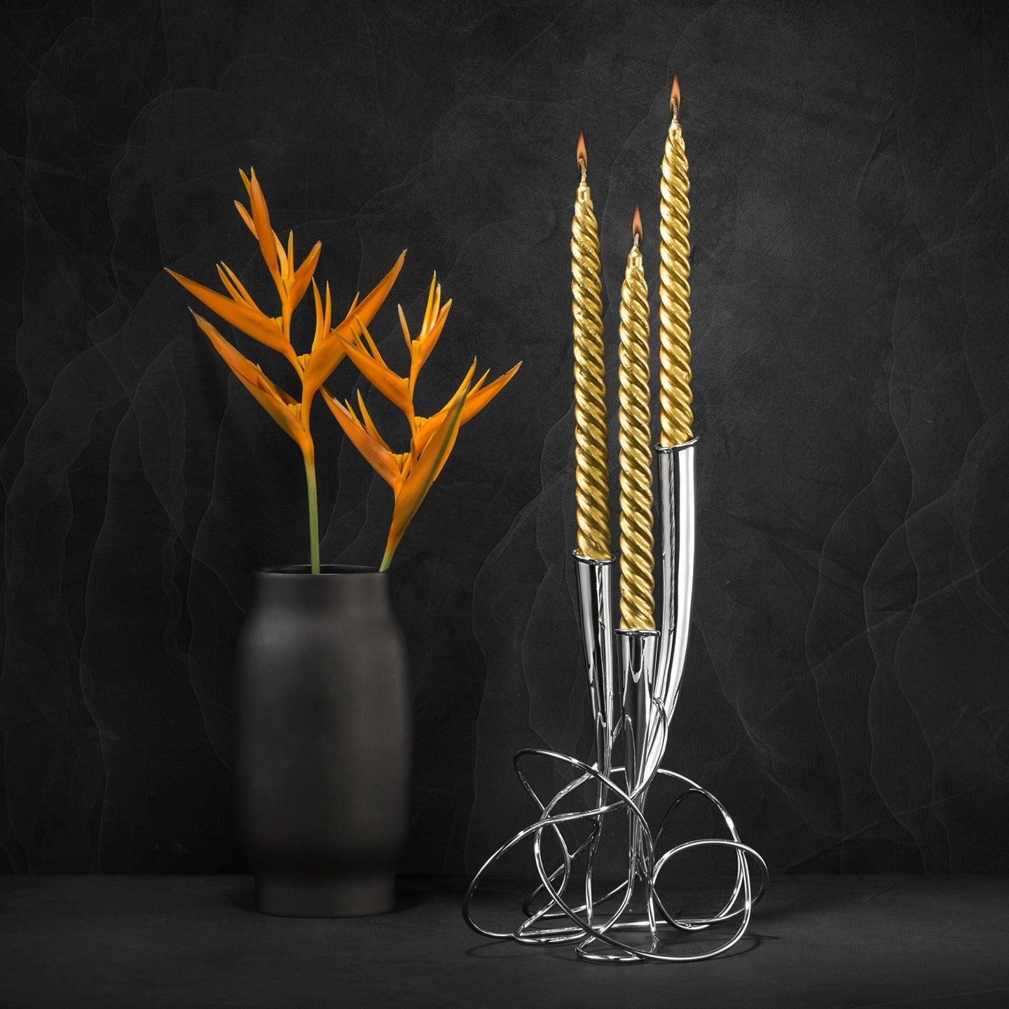Gracilis Candelabrum